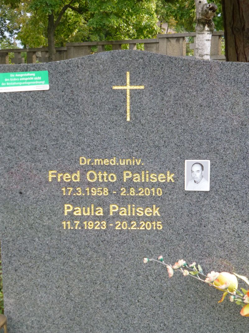 Palisek