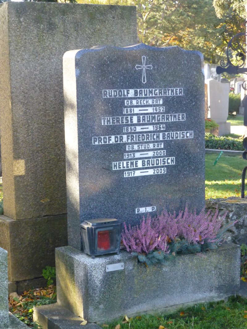 Baudisch; Baumgartner