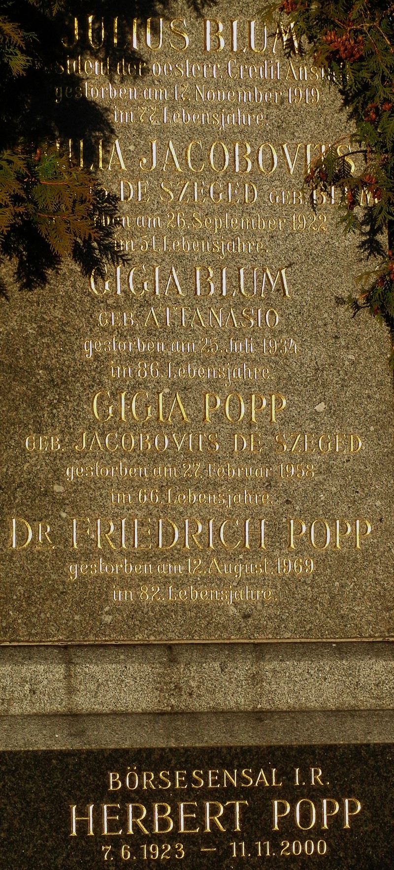 Blum; Jacobovits de Szeged; Attanasio; Popp