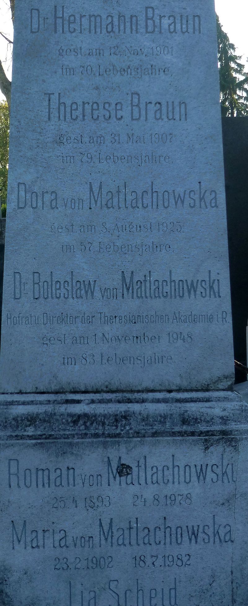Braun; Matlachowski; Scheid