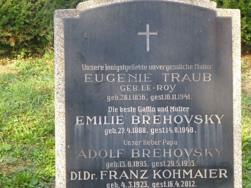 Brehovsky; Kohmaier; Traub; Le Roy