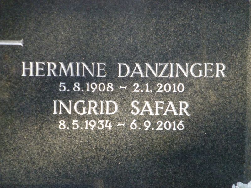 Danzinger; Safar