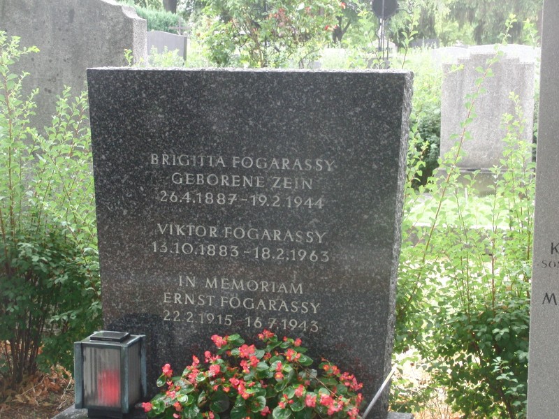 Fogarassy; Zein