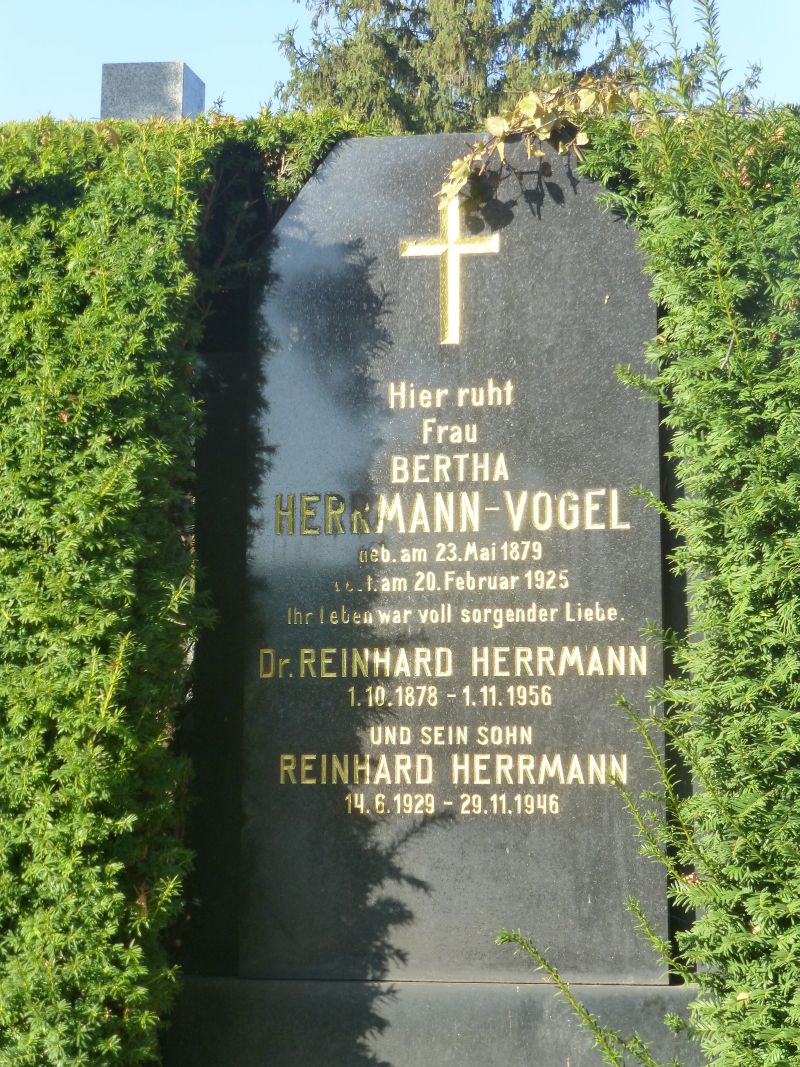 Jermann; Vogel