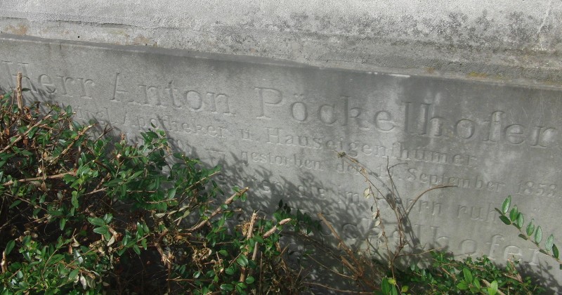 Pöckelhofer