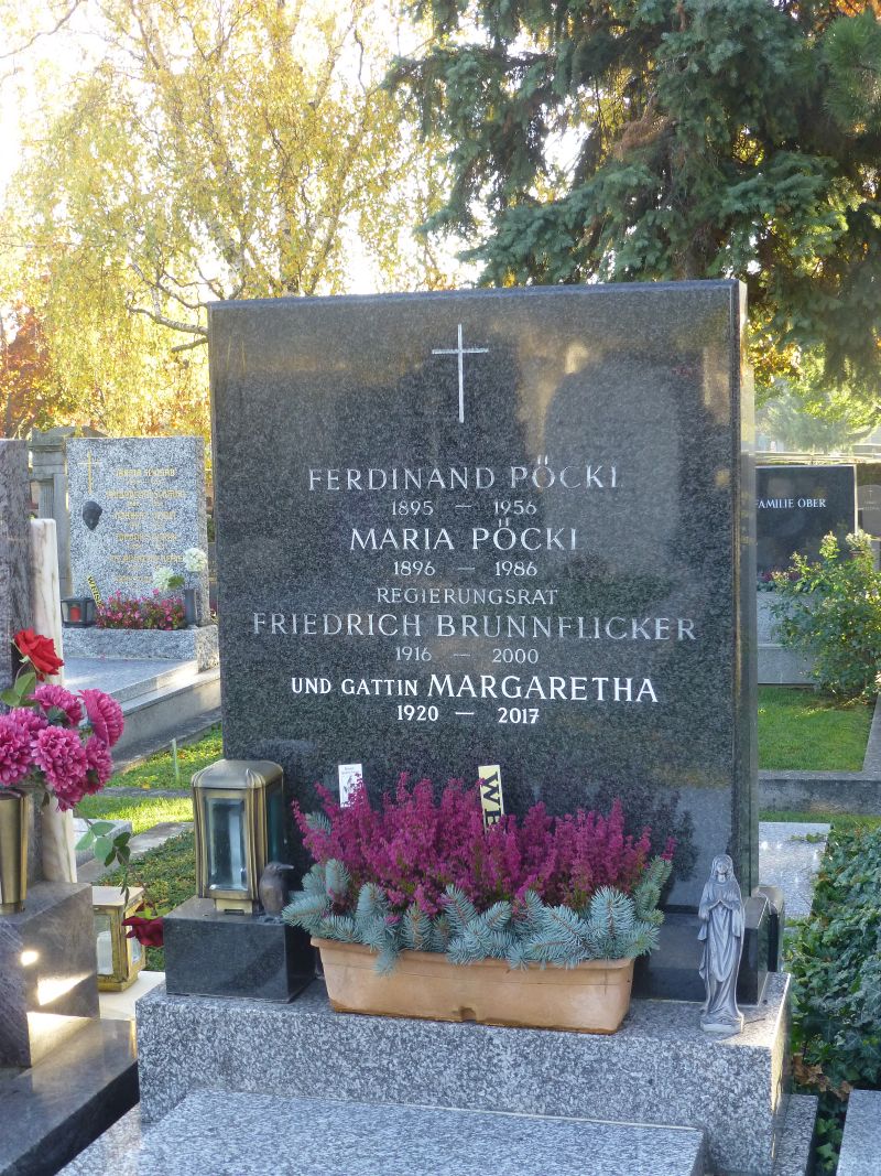 Pöckl; Brunnflicker
