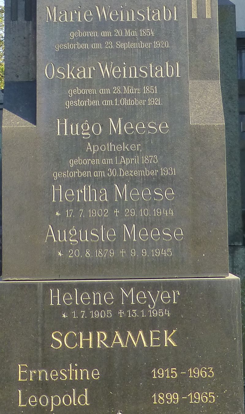 Weinstabl; Meese; Schramek