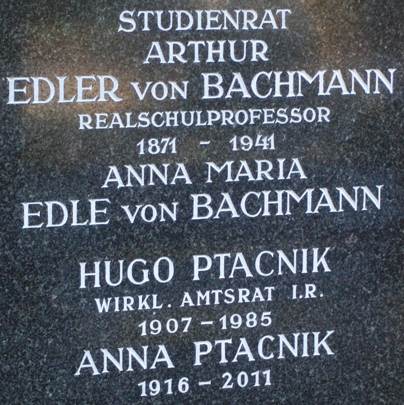 von Bachmann; Ptacnik
