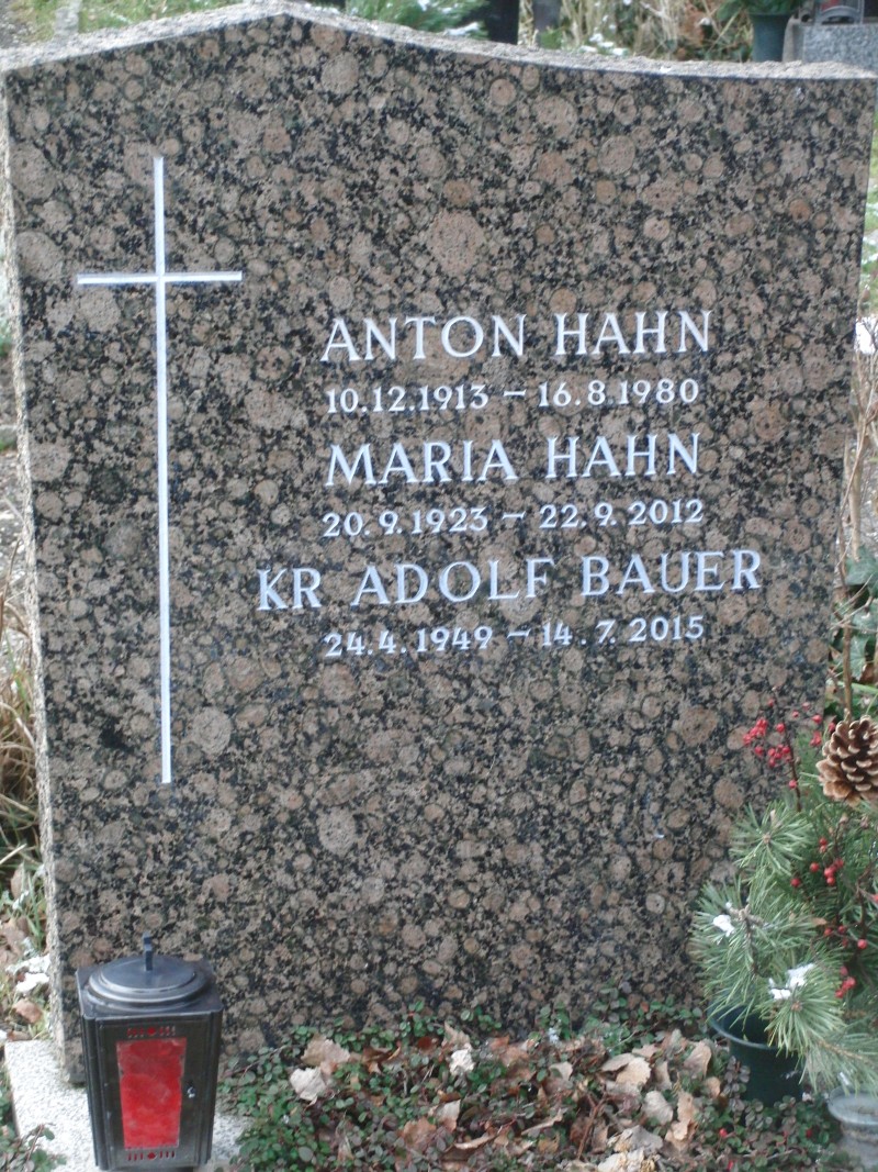 Hahn; Bauer