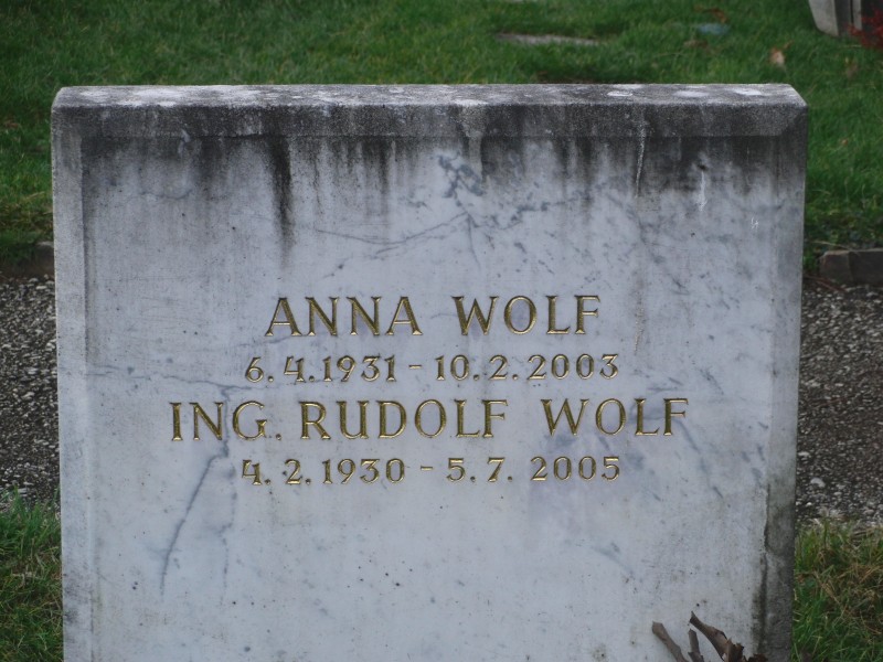 Wolf