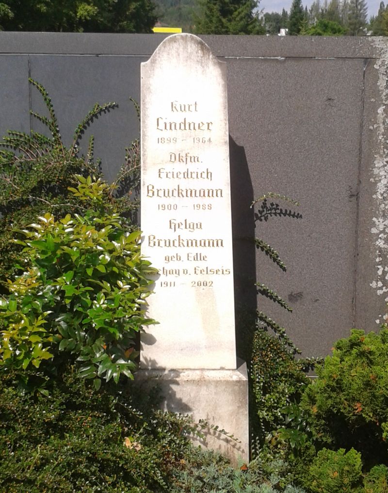Bruckmann; Lindner; Nechay v. Felseis