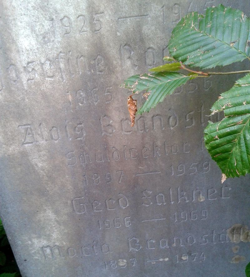 Rogatschnig; Brandstätter; Falkner