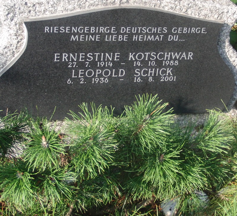 Kotschwar; Schick