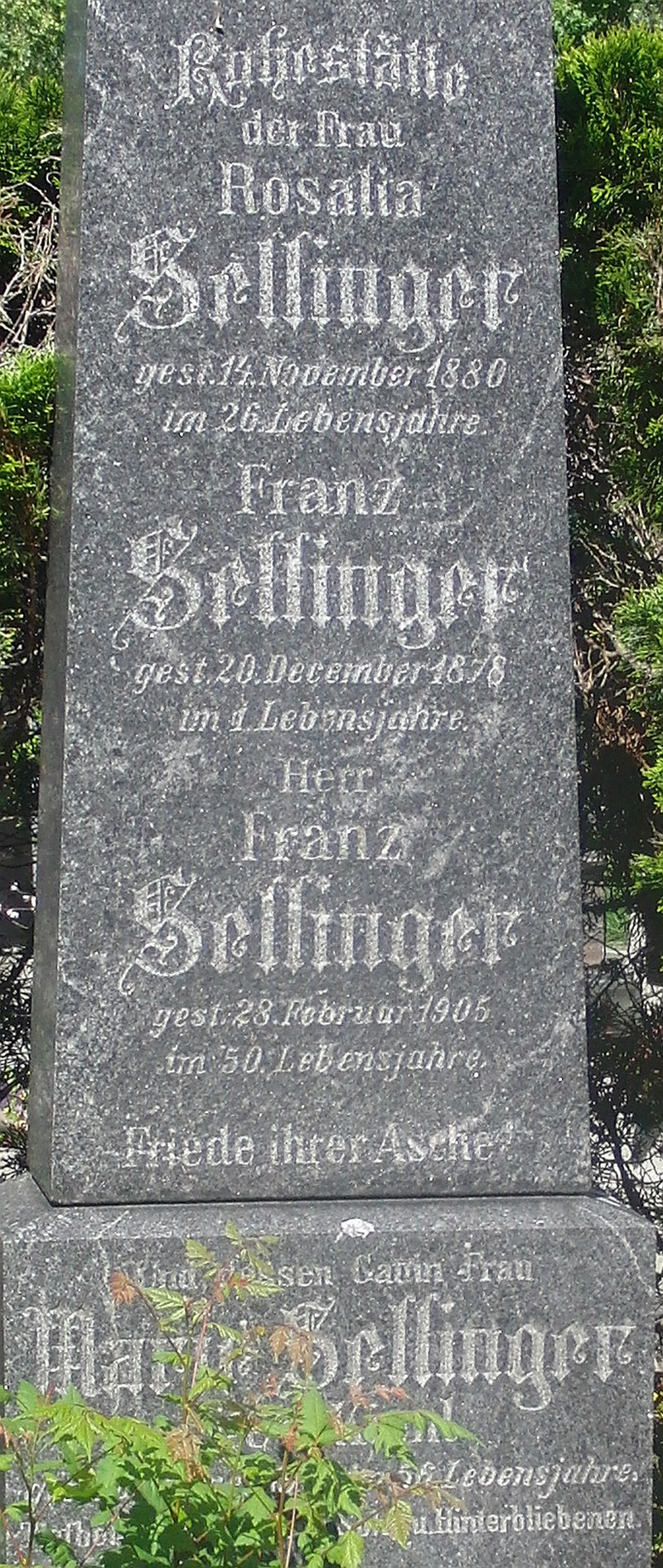 Sellinger