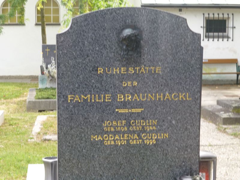 Cudlin; Baumhackl