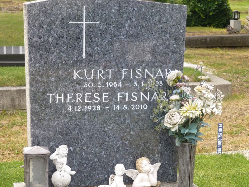 Fisnar