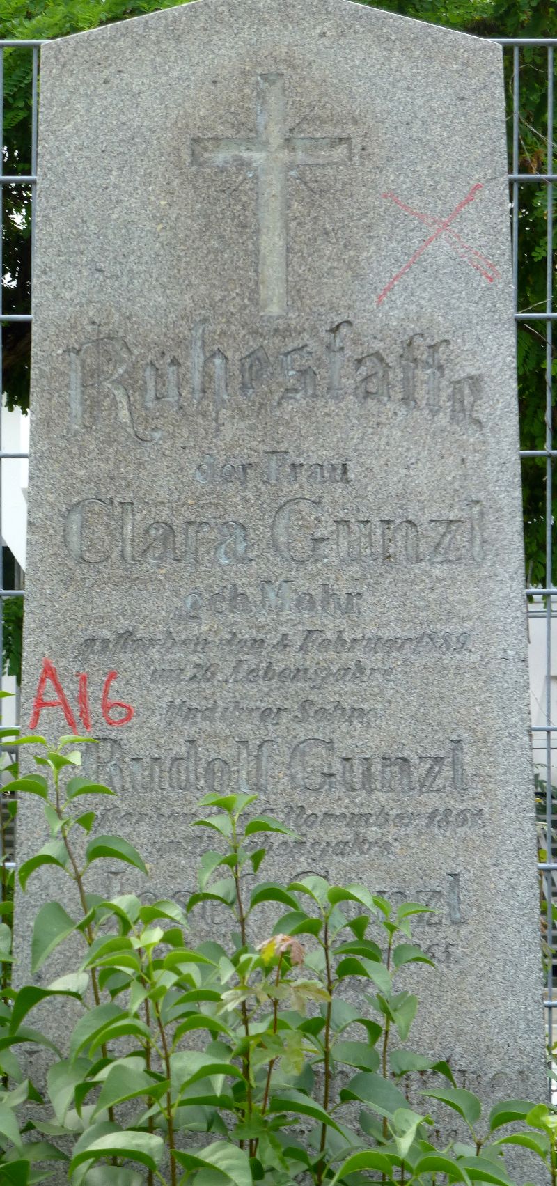 Gunzl; Mohr