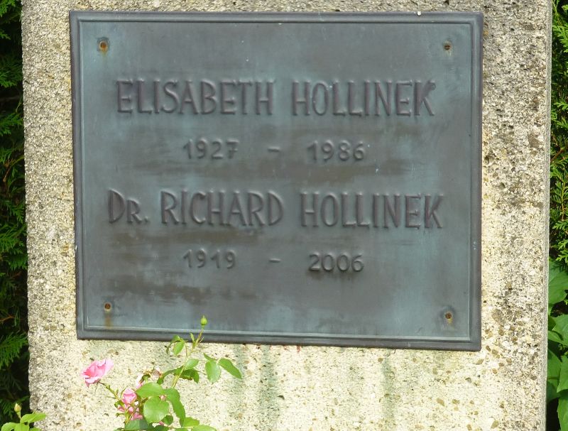 Hollinek