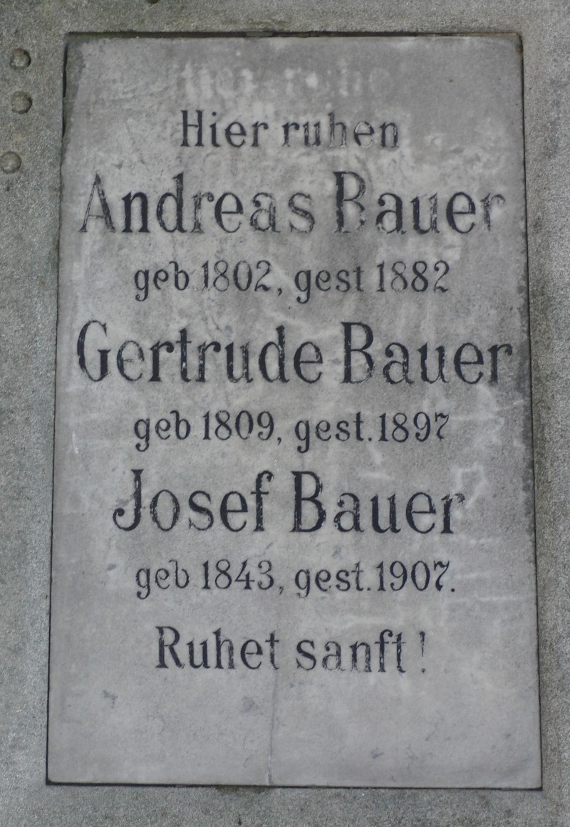 Bauer