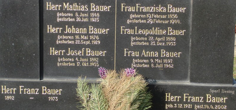 Bauer