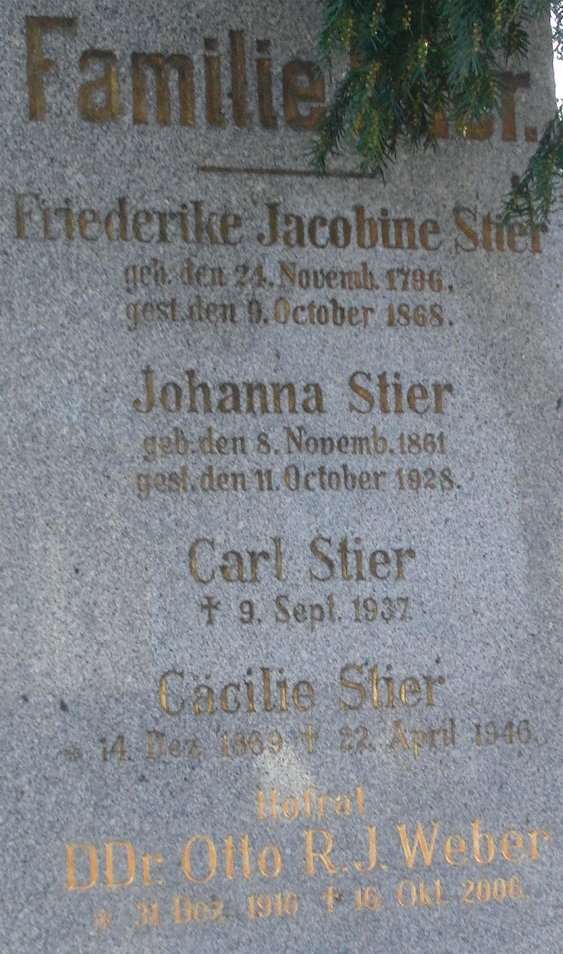 Stier; Weber