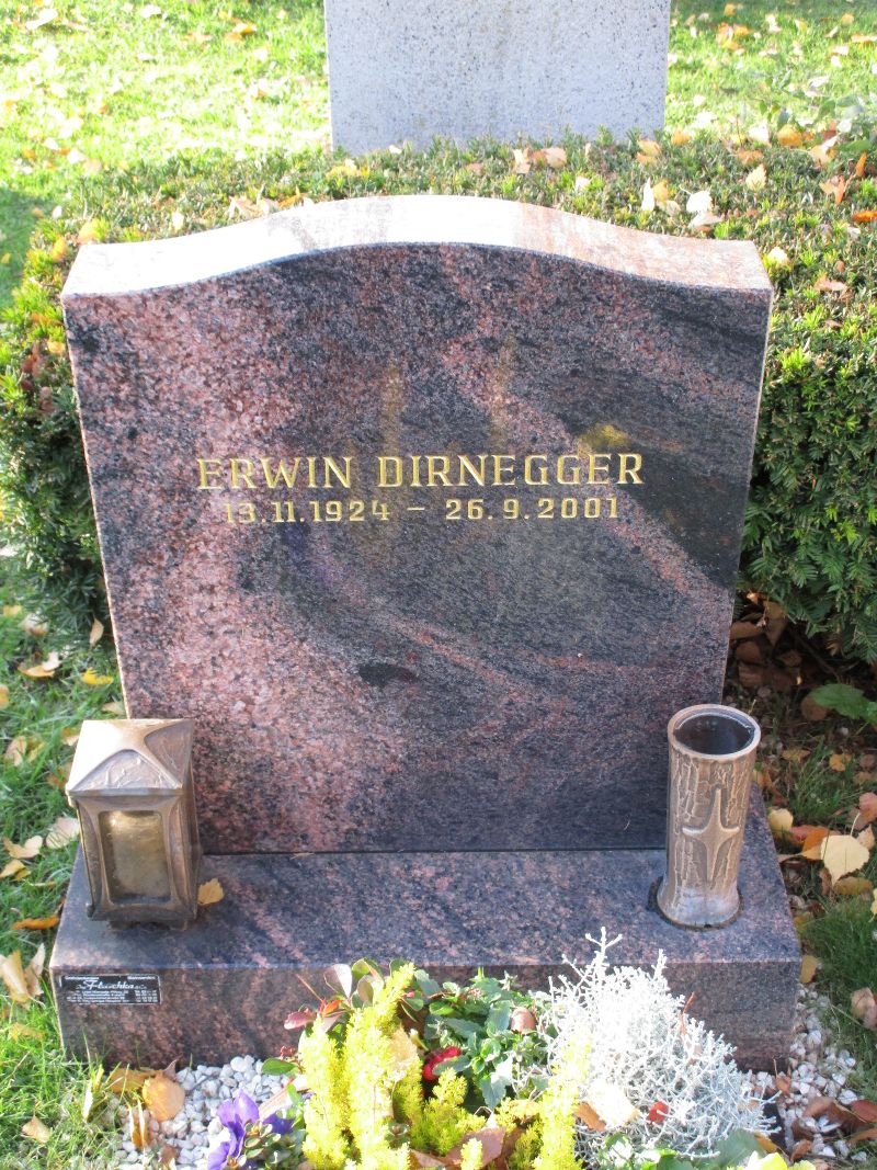 Dirnegger
