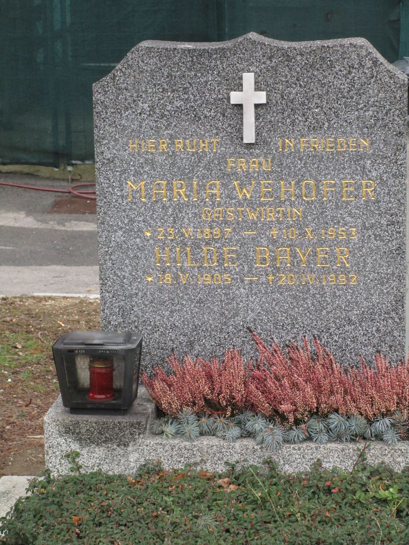 Wehofer; Bayer