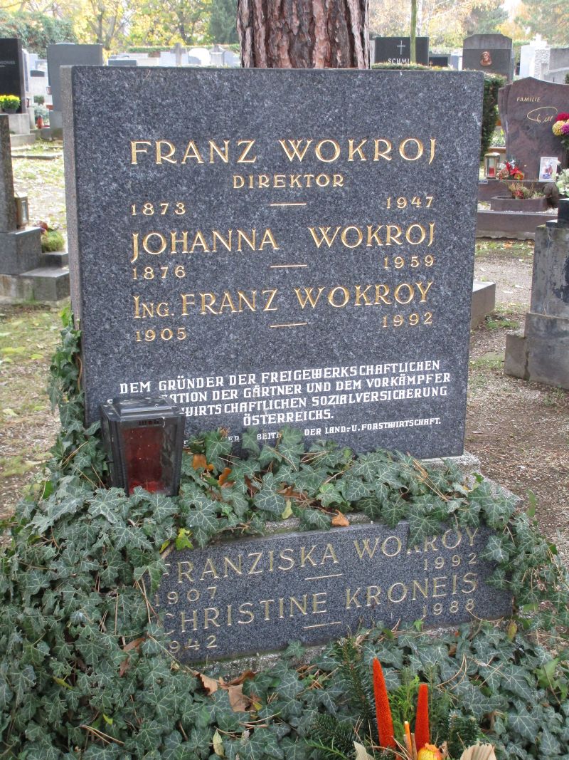 Wokroj; Wokroy; Kroneis