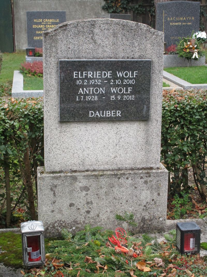 Wolf; Dauber