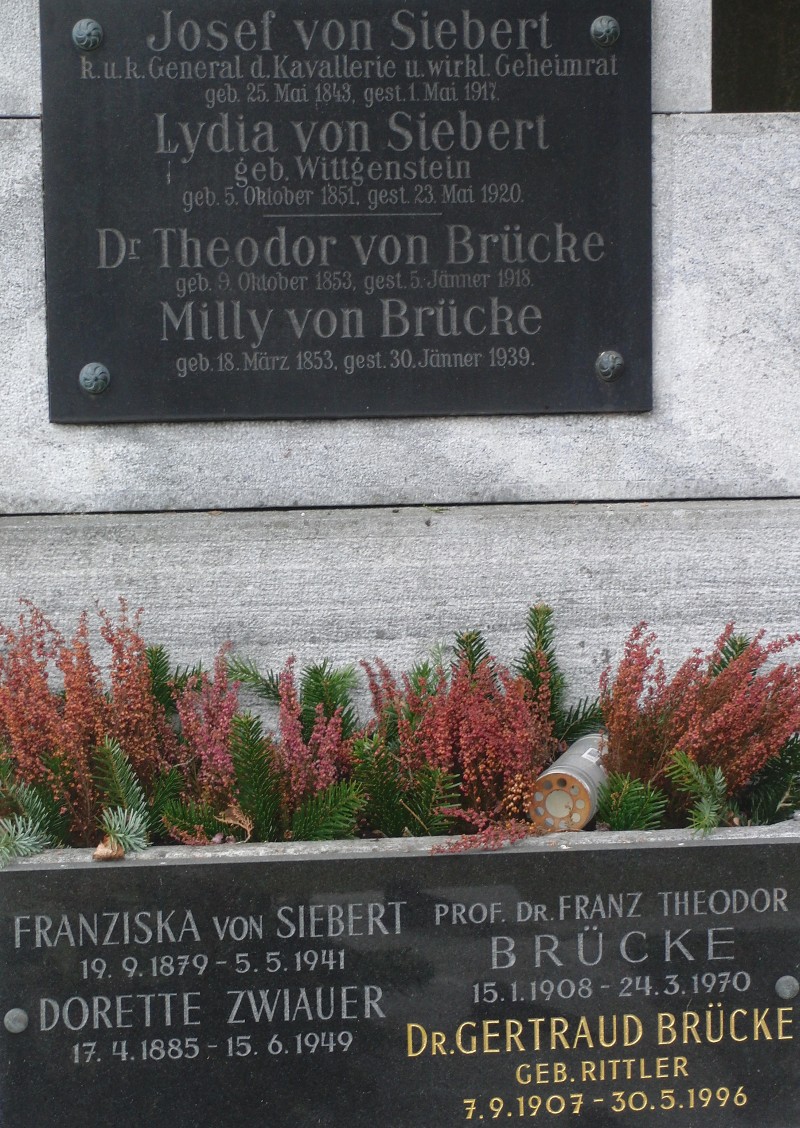 von Siebert; von Siebert geb. Wittgenstein; von Brücke; Zwiauer; Brücke; Brücke geb. Rittler