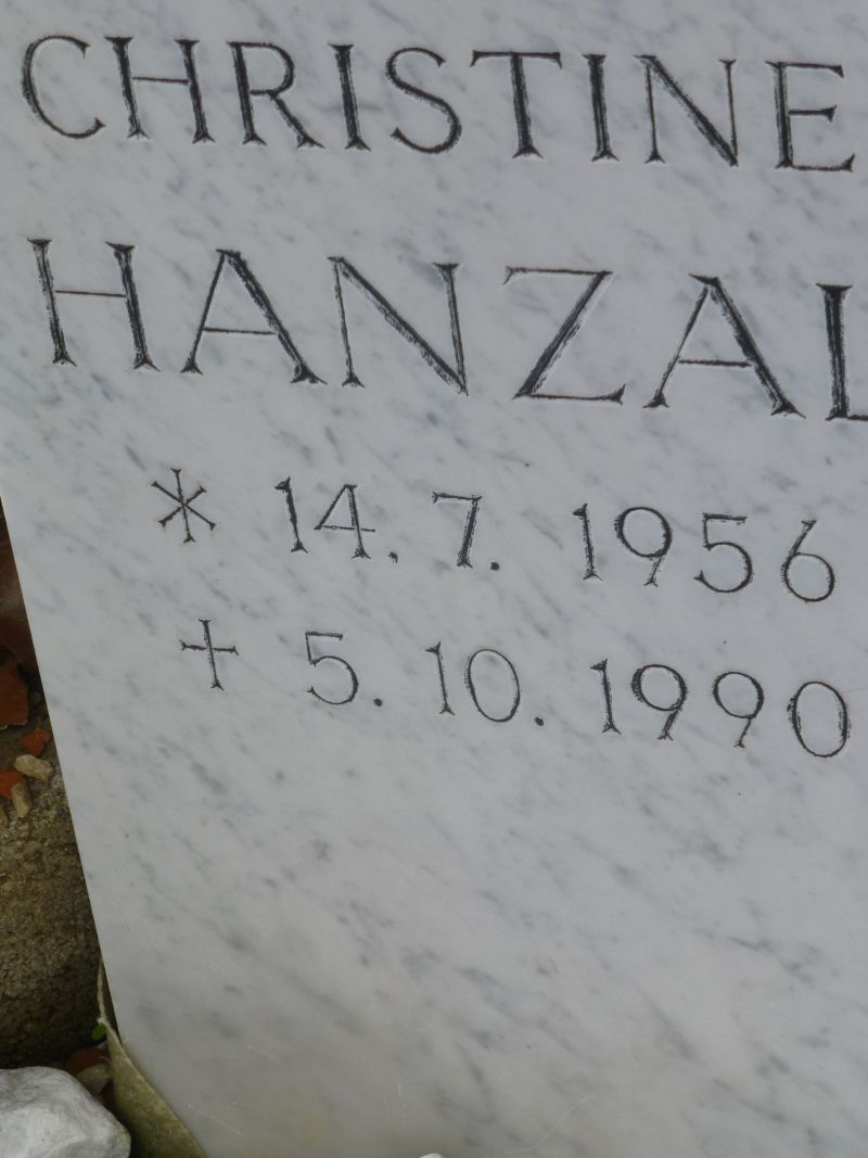 Hanzal