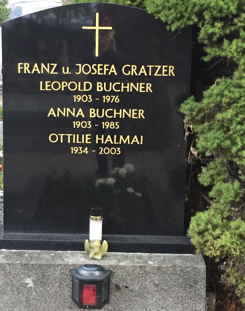 Gratzer; Buchner; Halmai