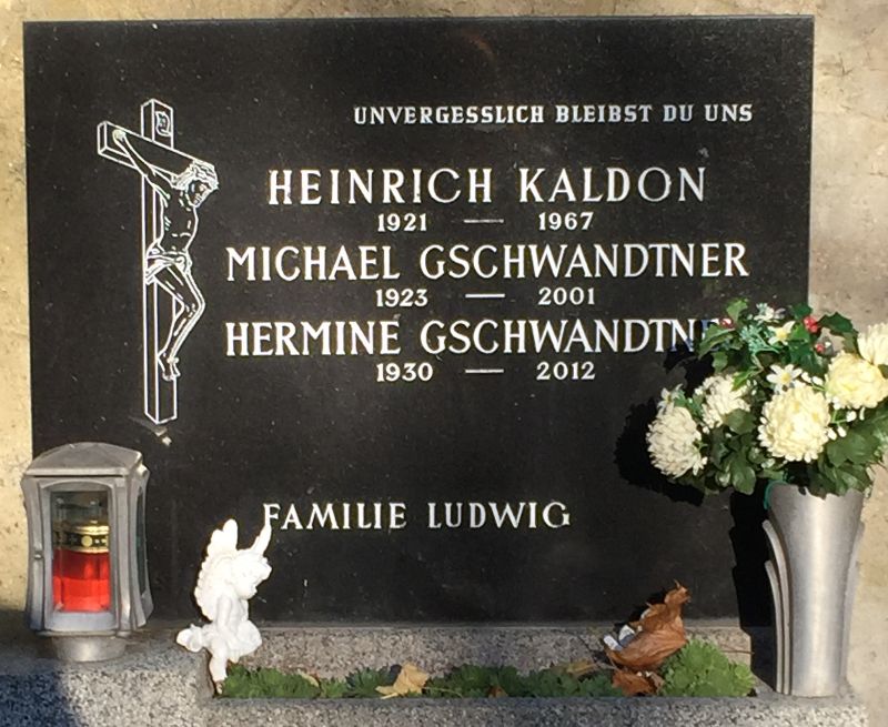 Kaldon; Gschwandtner; Ludwig