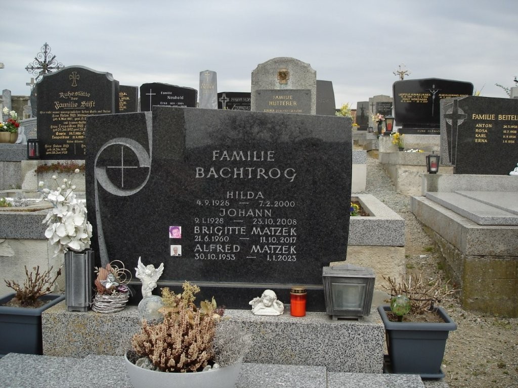 Bachtrog; Matzek