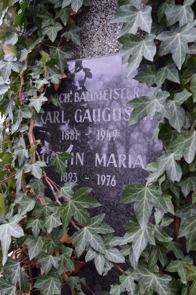 Gaugusch