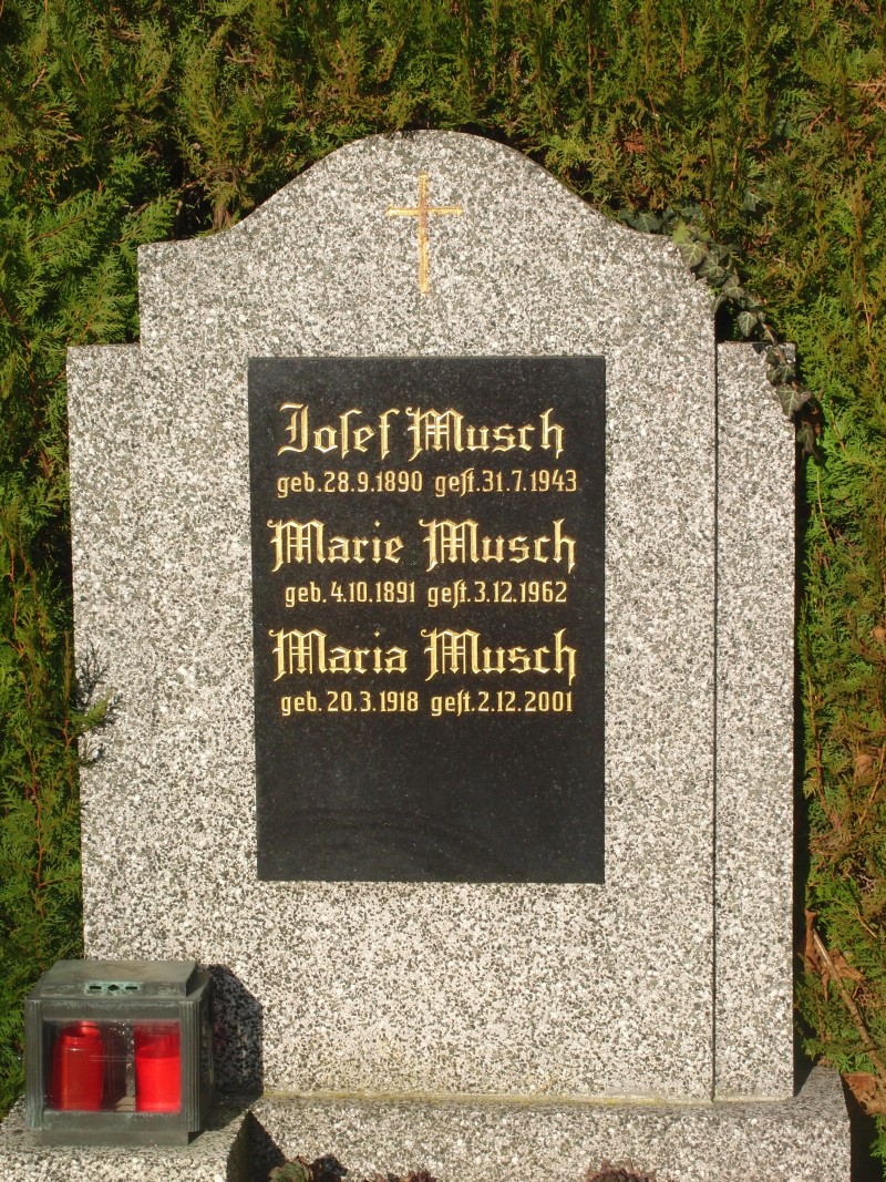 Musch