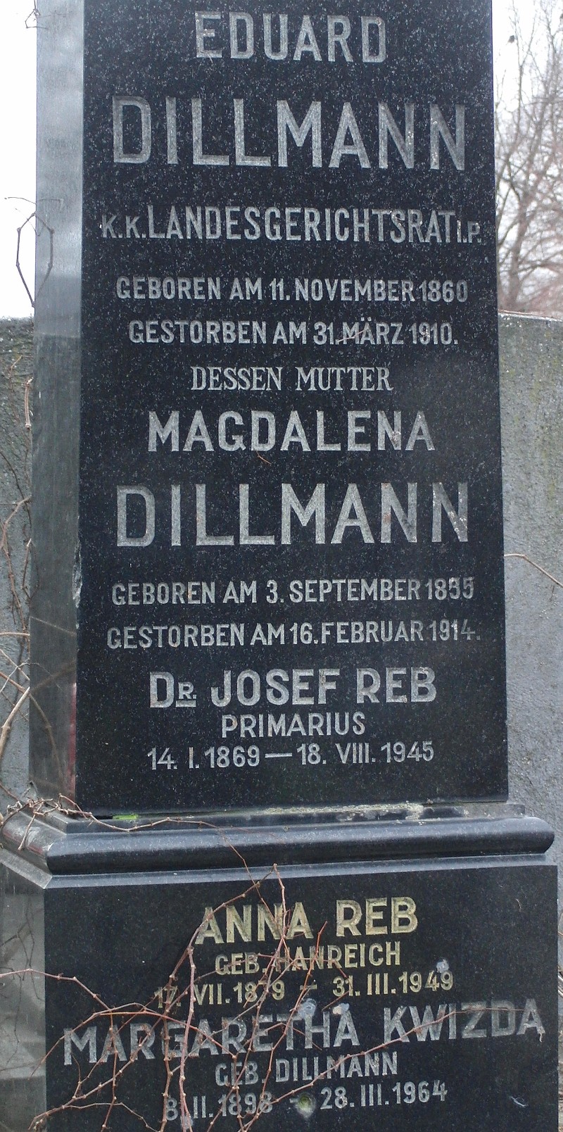 Dillmann; Reb; Kwizda; Hanreich