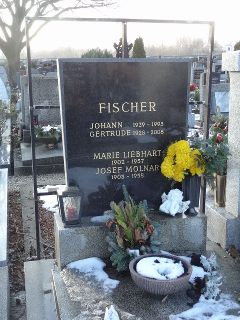 Fischer; Liebhart; Molnar