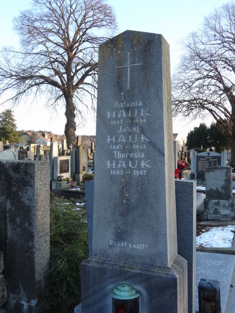 Hauk