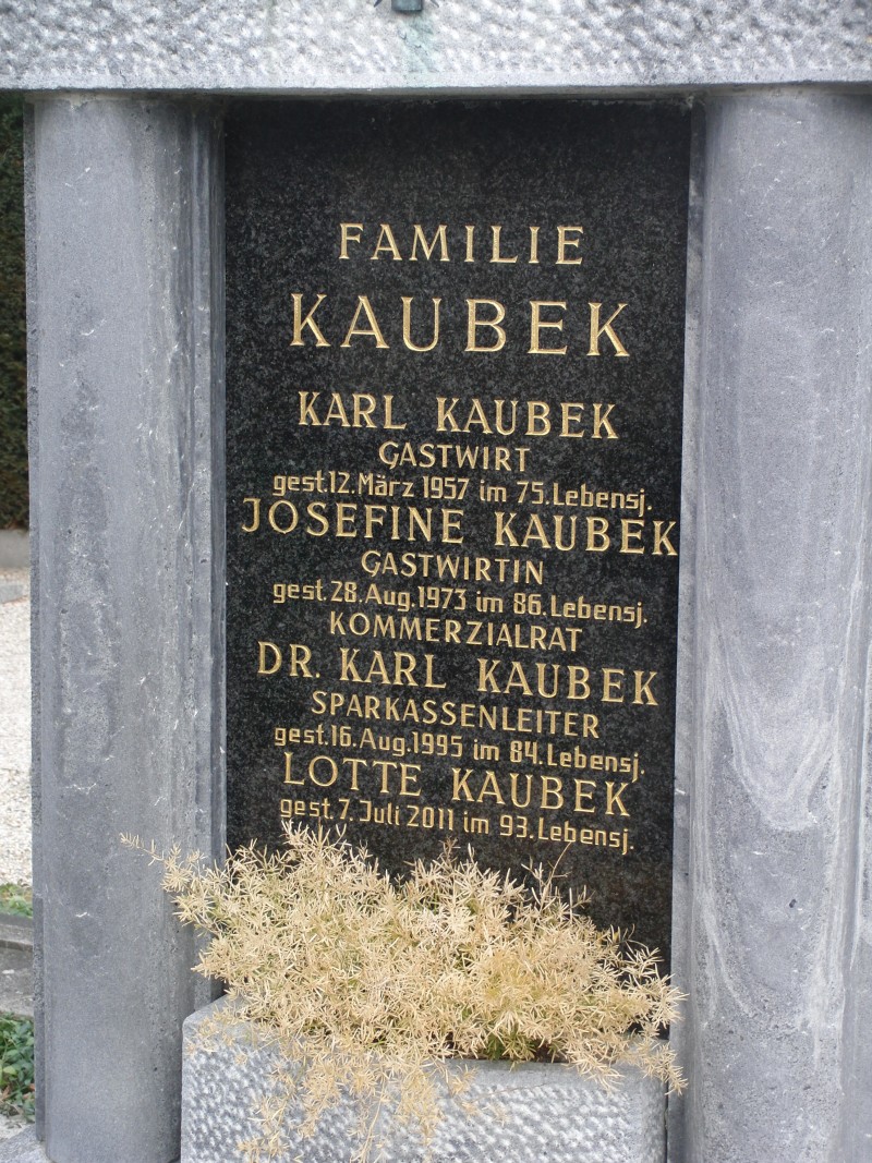 Kaubek