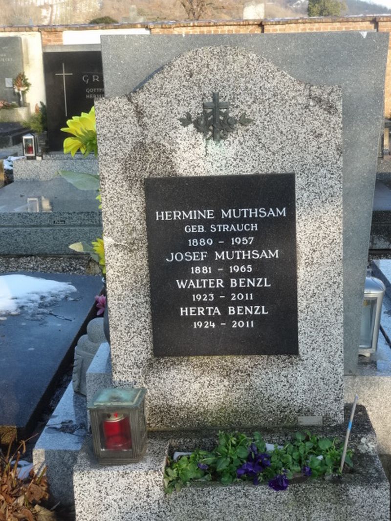 Muthsam; Strauch; Benzl