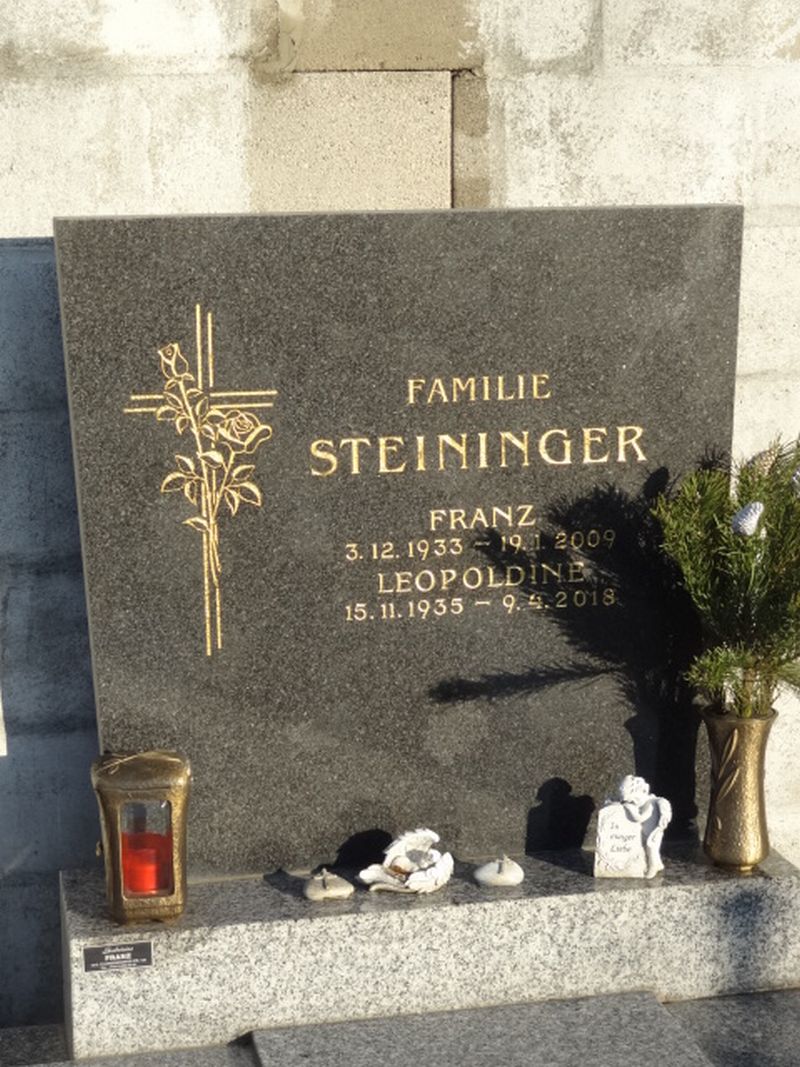 Steininger