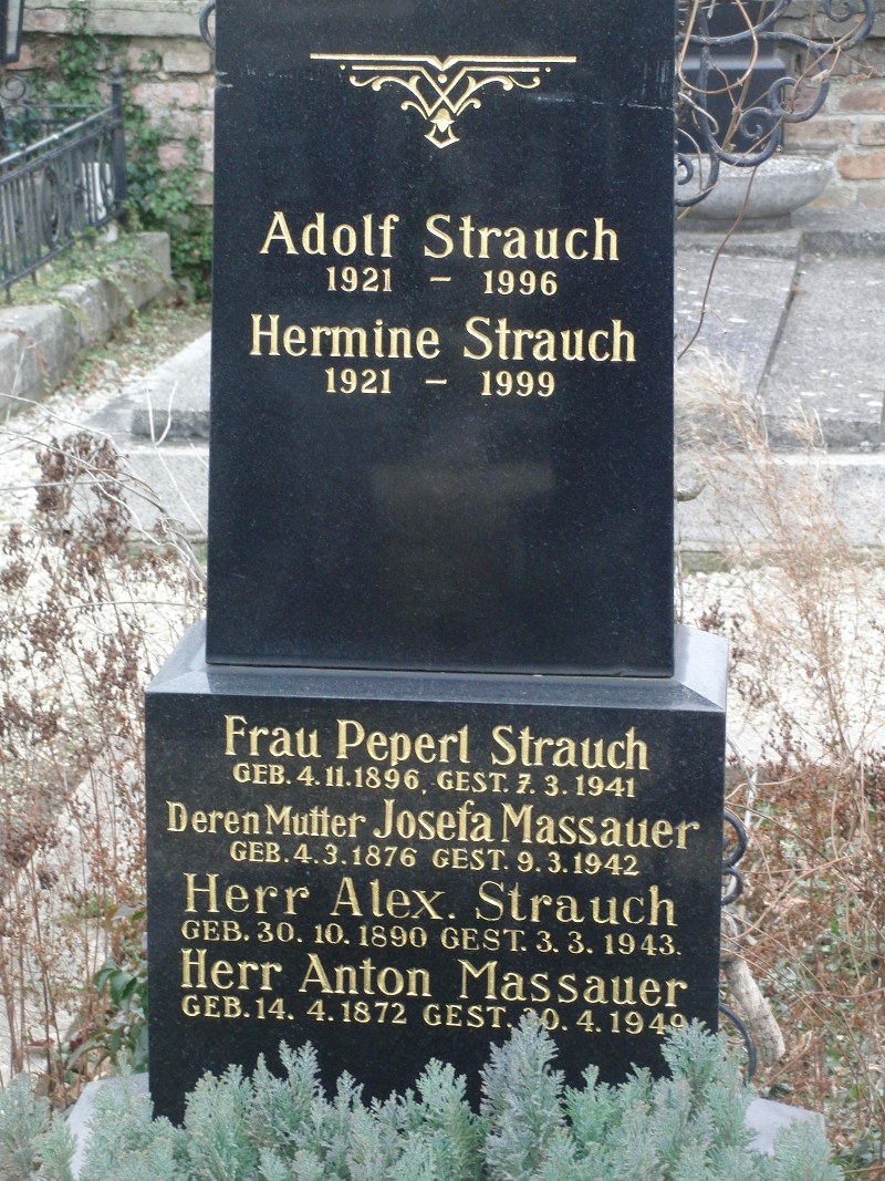 Strauch; Massauer