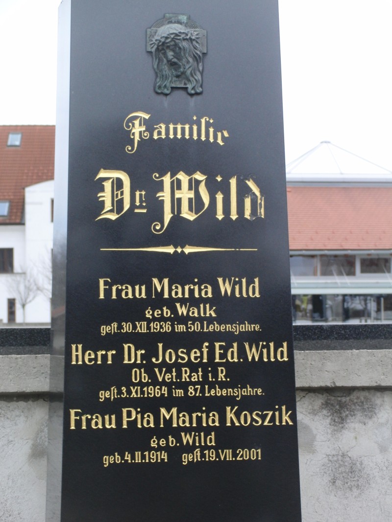 Wild; Wald; Koszik