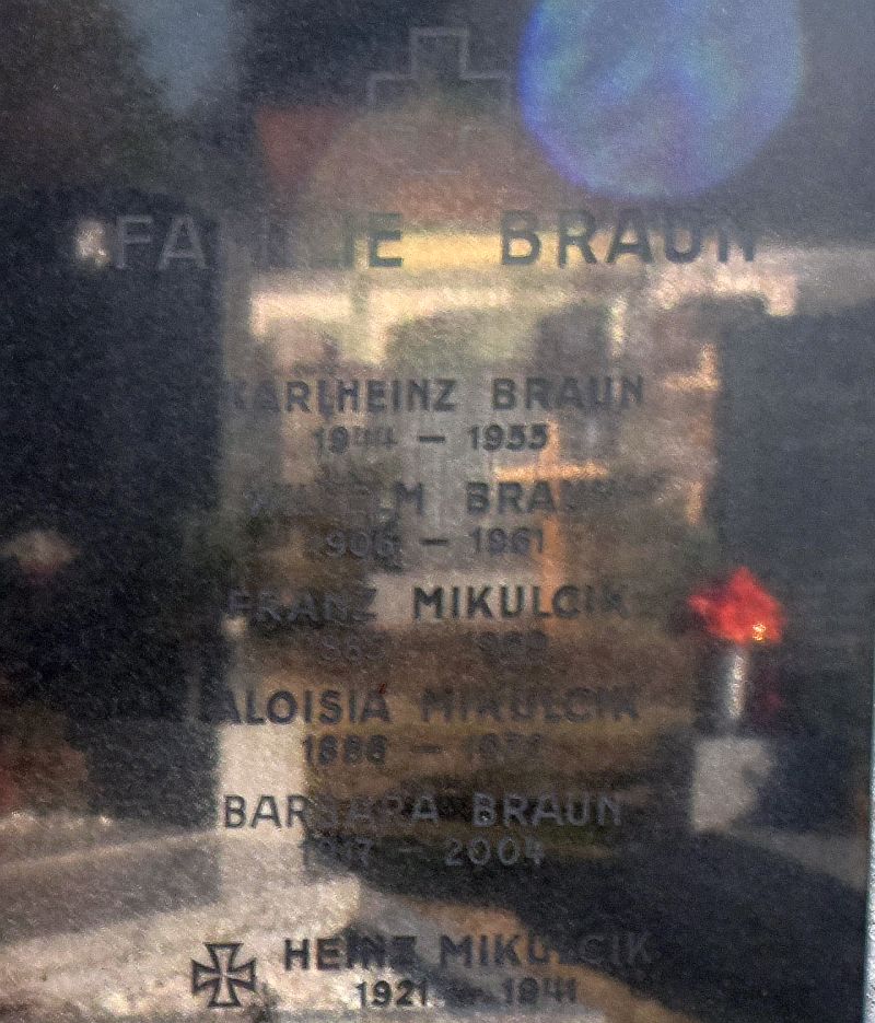 Braun; Mikulcik; Reiter