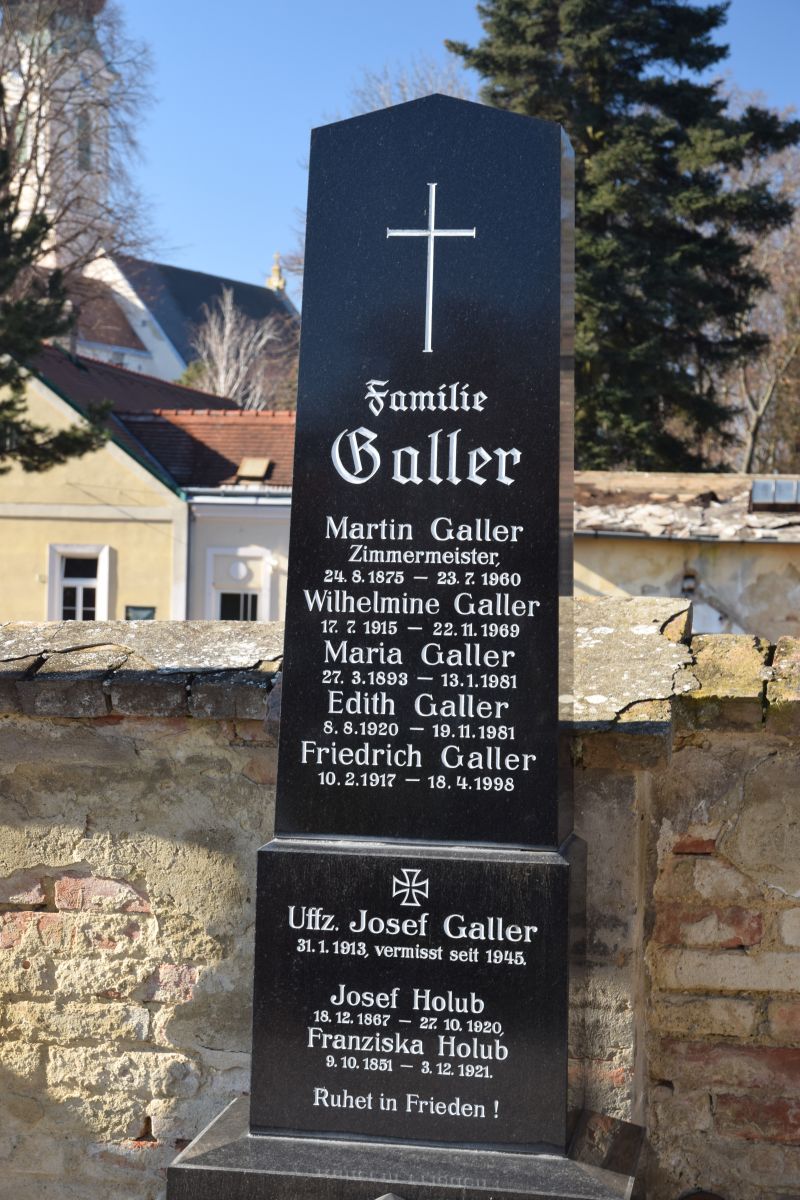 Galler; Holub