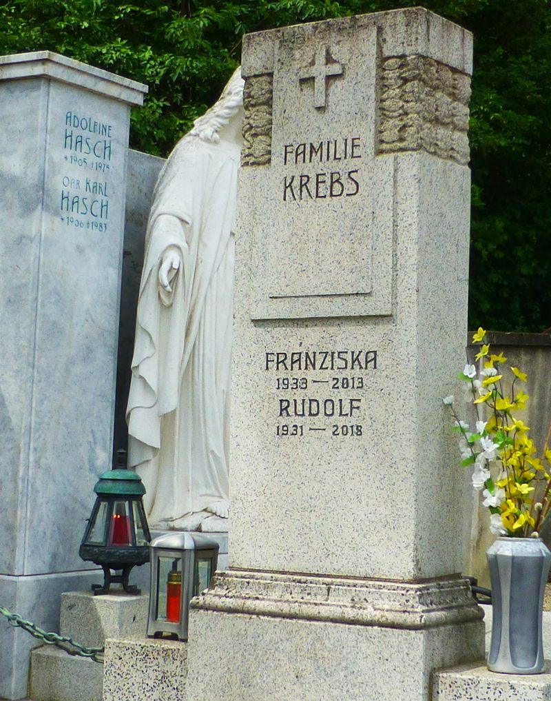 Krebs; Hasch