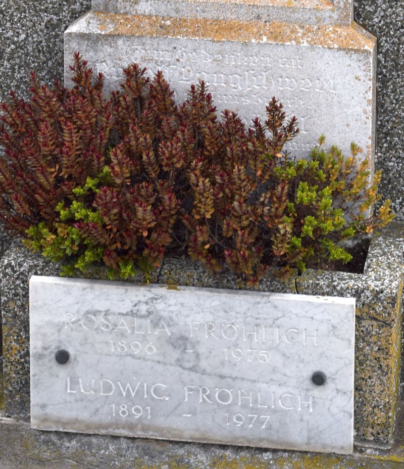 Langschwert; Fröschl; Fröhlich