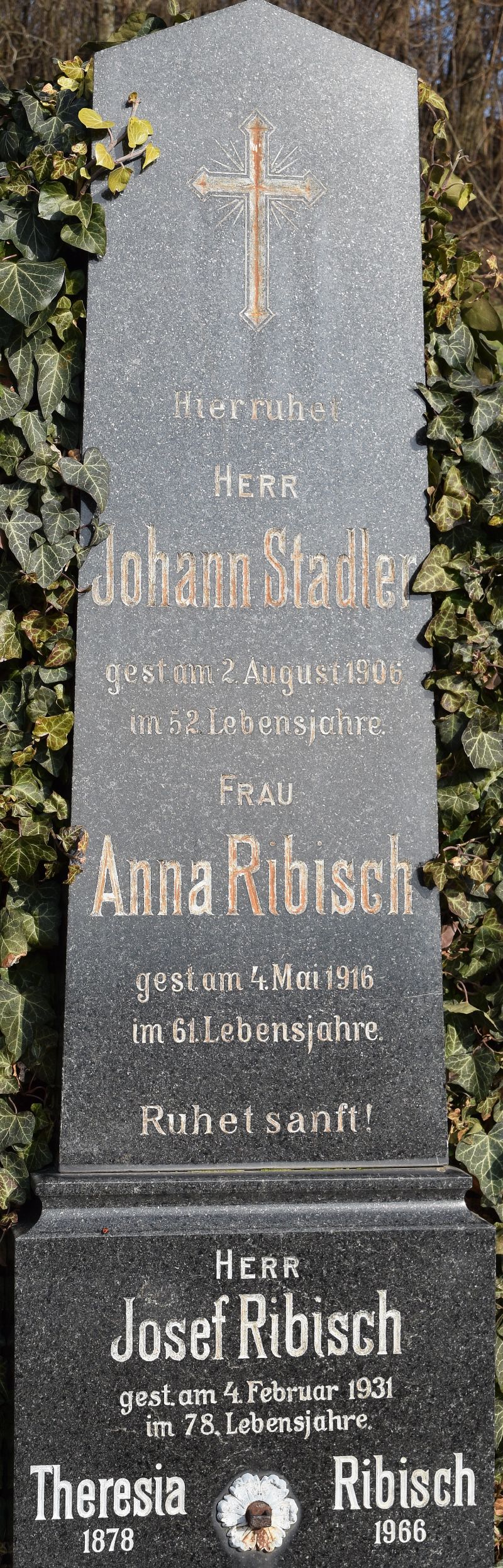 Stadler; Ribisch