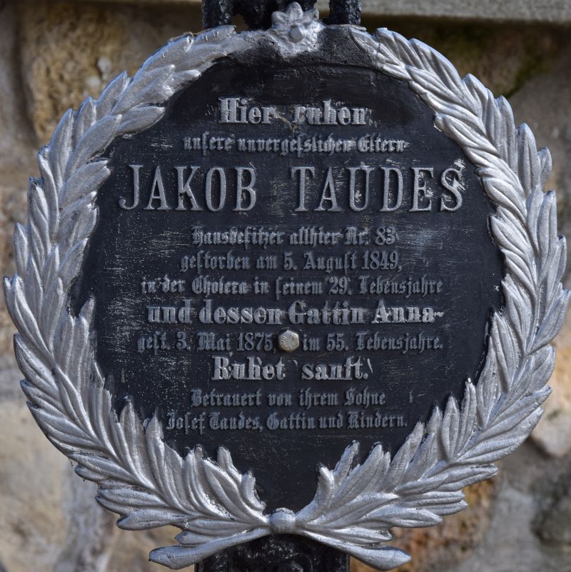 Taudes